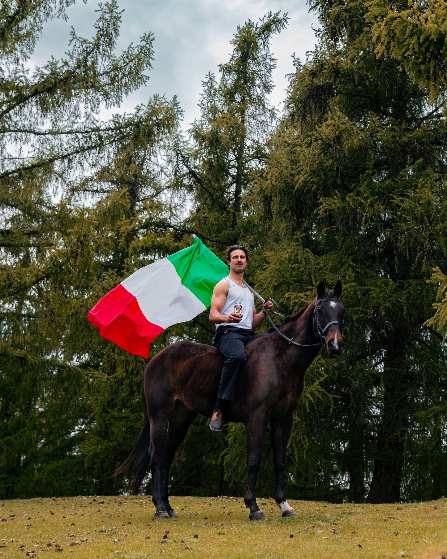 Italian Stallion - Euro Lager - 440ml (6 pack)