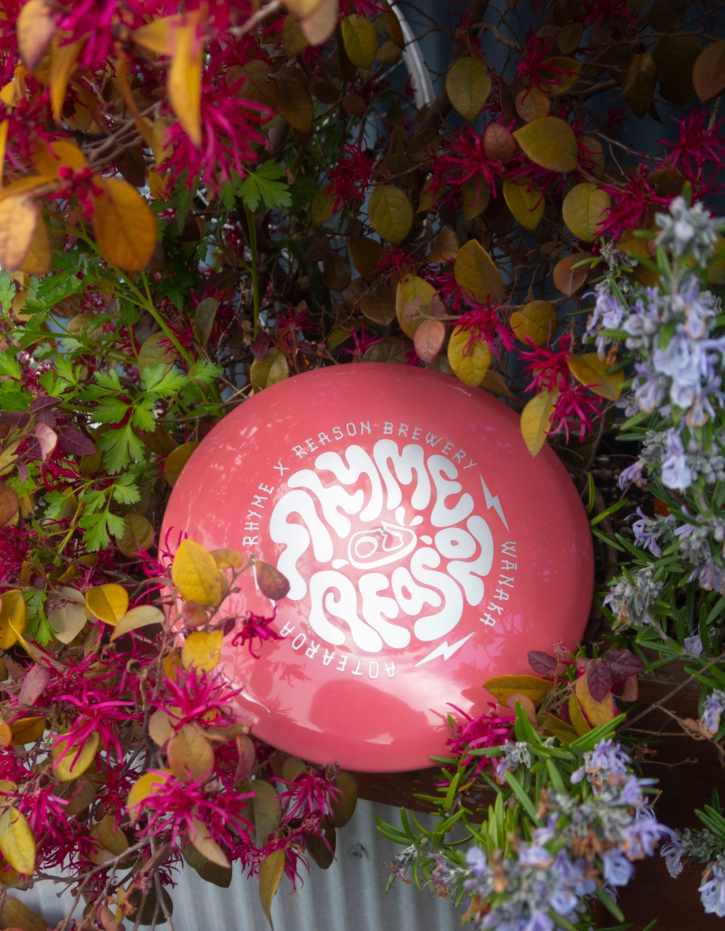 Limited Edition Disc Golf Disc